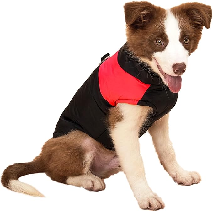 Small Dog Coats Warm Winter Jackets for Small Medium Dogs Puppy Cold Weather Coat Pet Clothes, Red, Medium