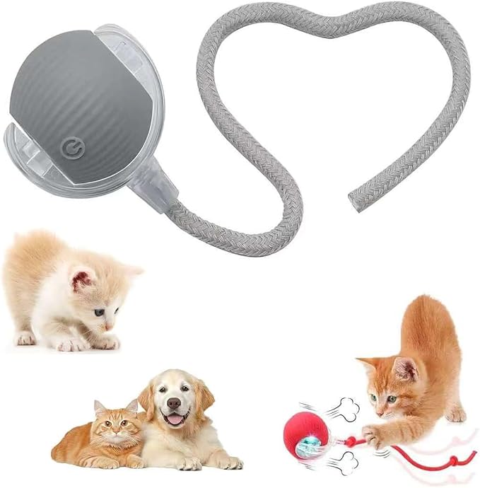Interactive Pet Toy Ball, 2026 Automatic Dog Toy Interactive Dog Cat Toy Ball Dog & Cat Electric Active Toys, Smart Chase Pet Toy Ball for Dogs for Large Small Dogs Motion Activated (Gray)