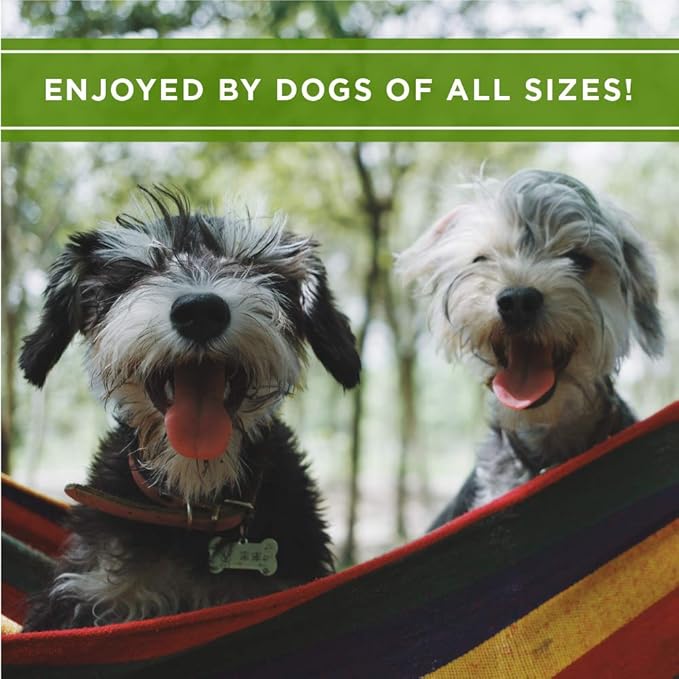 4Legz Peanut Butter & Carob Chips Dog Treats – Healthy, Crunchy, Vegan Biscuits with Whole & Real Ingredients – All Natural & USA‐Baked, 4 Pound Bag