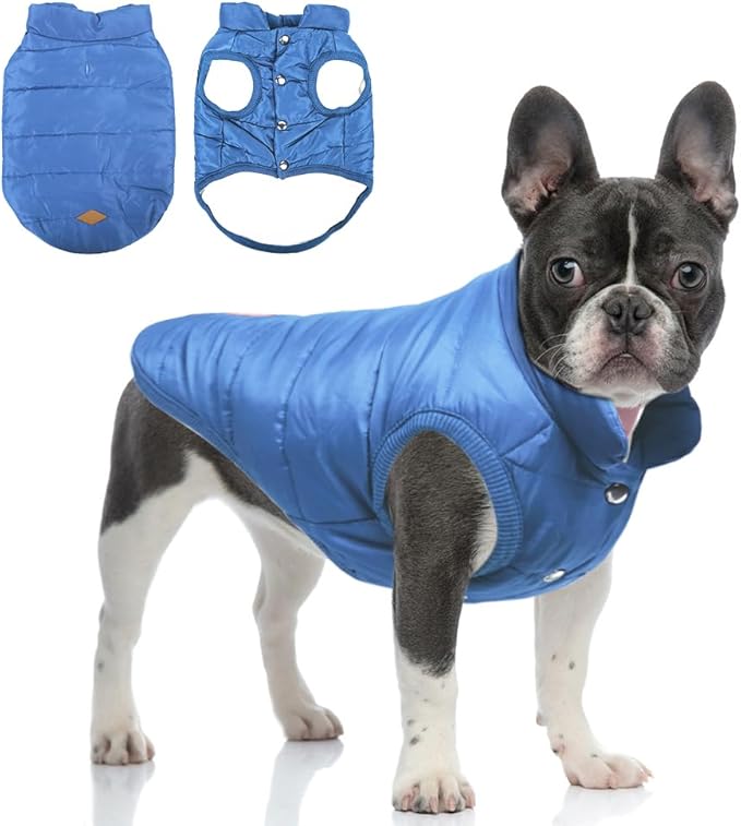Warm Dog Coat, Windproof Dog Jacket Fleece Pet Winter Coats Solid Color Dogs Clothes Cold Weather Pet Jacket Vest Soft Puppy Apparel for Small Medium Dogs Cat (M, Blue)