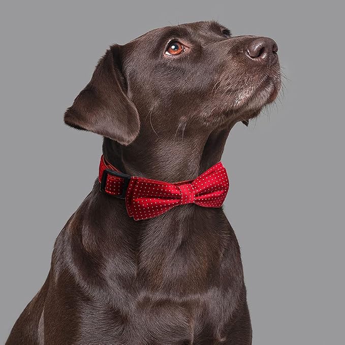 Dog Collar with Bow Tie for Girl or Boy Gift Soft Durable Bowtie Red Dot Medium