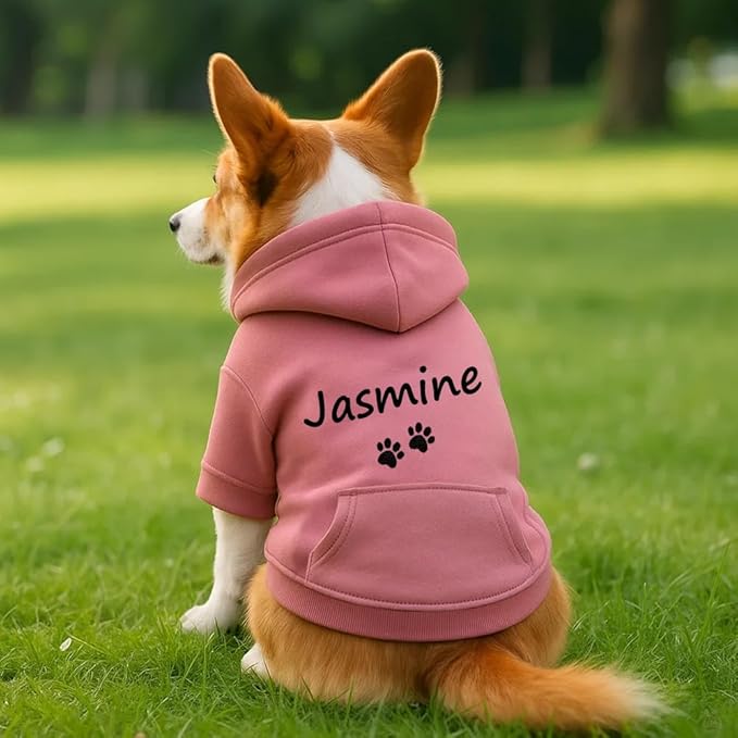 Personalized Dog Hoodie with Printed Name, Custom Puppy Sweater, Warm Winter Outfit for Dogs, Unique Birthday Gift, Memorial Sweatshirt for Dog Lovers