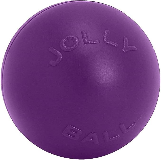 Jolly Pets Push-n-Play Ball Dog Toy, 14 Inches/Extra-Large, Purple,All Breed Sizes