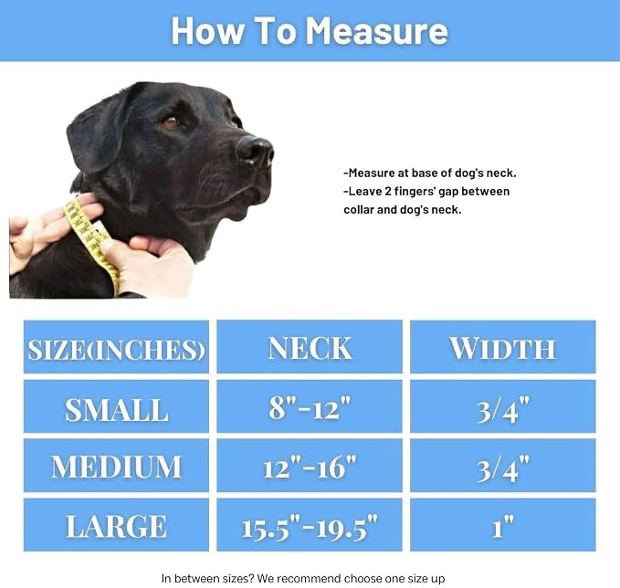 Waterproof Dog Collar, Soft Comfortable Pet Collars, Adjustable Odor Proof Heavy Duty Dog Collars Easy to Clean for Large, Medium Small Dogs Bee N Buu (Cyan Blue, Large (length15.5-19.5", Width 1"))