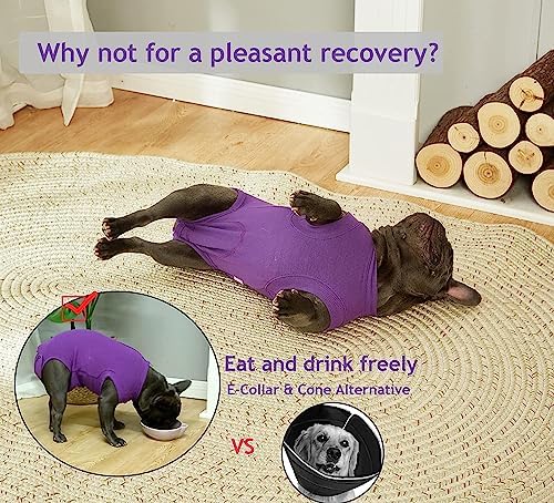 Recovery Suit for Female Dogs, Dog Cone Alternative After Spay