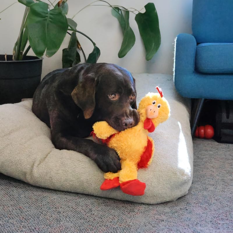 KONG Knots Chicken Dog Toy – Internal Knotted Rope & Dual Squeakers – Durable Plush with Minimal Stuffing, Indoor/Outdoor Chew & Tug Toy (Medium/Large)