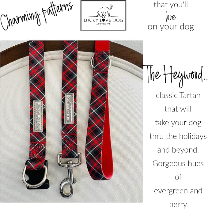 Lucky Love Dog Martingale Collar & Leash Set No Slip Cute – Heywood, Medium