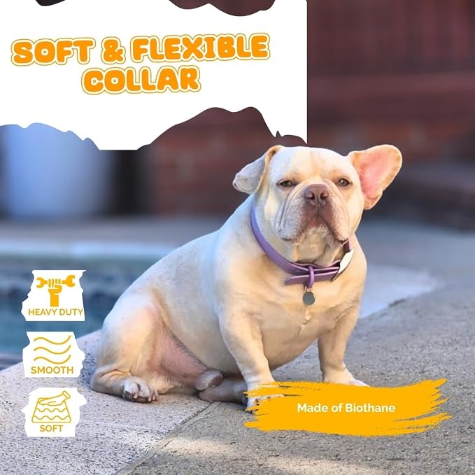 Waterproof Dog Collar, Soft Comfortable Pet Collars, Adjustable Odor Proof Heavy Duty Dog Collars Easy to Clean for Large, Medium Small Dogs by Bee N Buu (Purple, Small (length8-12, Width 3/4"))