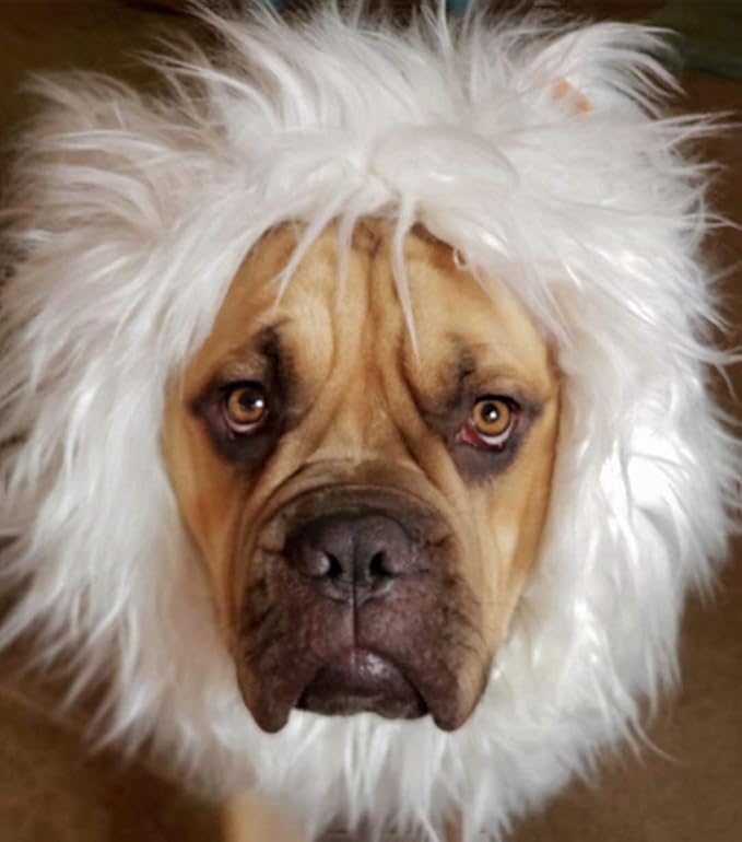 Lions Mane for Large Dog Halloween Costumes, Pet White Wig with Ears