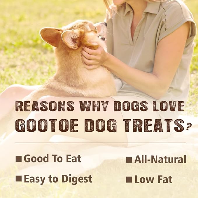 Gootoe Soft Turkey Tendon Stirip with Pumpkin 3oz, Chewy Snack, USA-Sourced Turkey Tendon, Premium Training Chews, Hypoallergenic, Reseal Value Bags, Ideal for Small & Senior Dogs