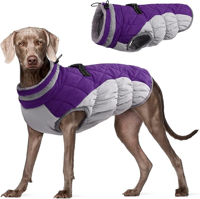 FUAMEY Dog Coat for Large Dogs,Waterproof Dog Winter Jacket with Harness Built in Puppy Cold Weather Coats Reflective Pet Vest with Zipper Warm Fleece Dogs Snowsuit Windproof Purple XXXL