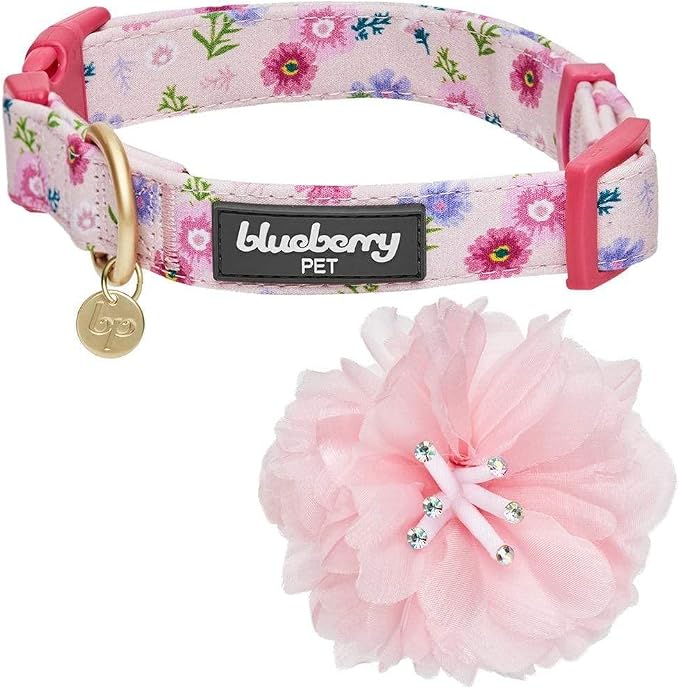 Blueberry Pet Floral Power Cosmos Designer Pink Adjustable Dog Collar with Detachable Pink Peony, Large, Neck 18"-26"