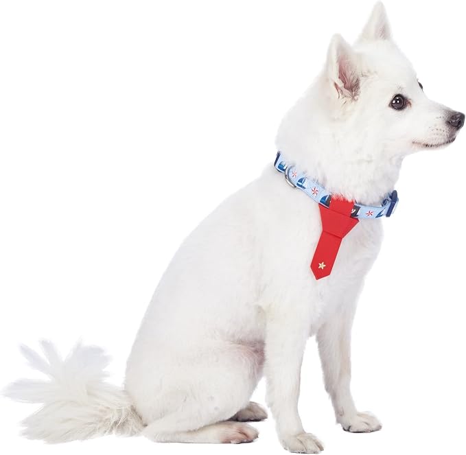 Blueberry Pet 4 Patterns Light Blue Starry Sailboat Designer Adjustable Tie Dog Collar, Medium, Neck 14.5"-20"