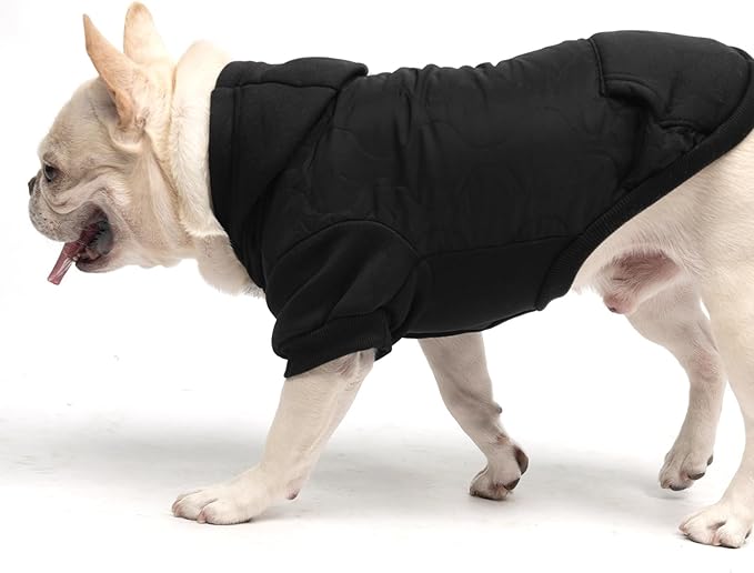 KOOLTAIL Warm Dog Winter Coat for Small Dogs, Waterproof Puppy Jacket with Leash Hole, Cold Weather Pet Vest for Winter, Soft Pet Hoodie Sweater Sweatshirt Clothes for Puppy Cats Girls Boys Black L