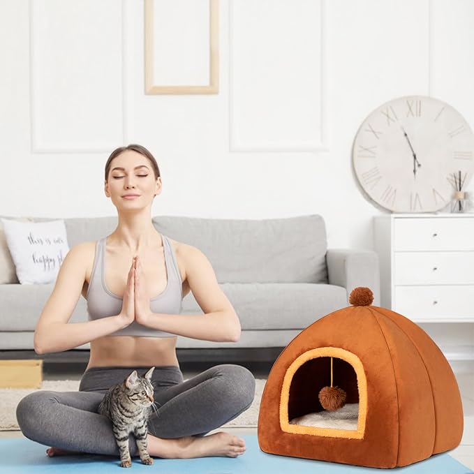 RUONARIER Cat Bed Cave for Indoor Cats,Cat House Tent Bed with Removable Washable Cushioned Pillow, 2-in-2 Kitten Beds for Indoor Kittens,Pet Bed