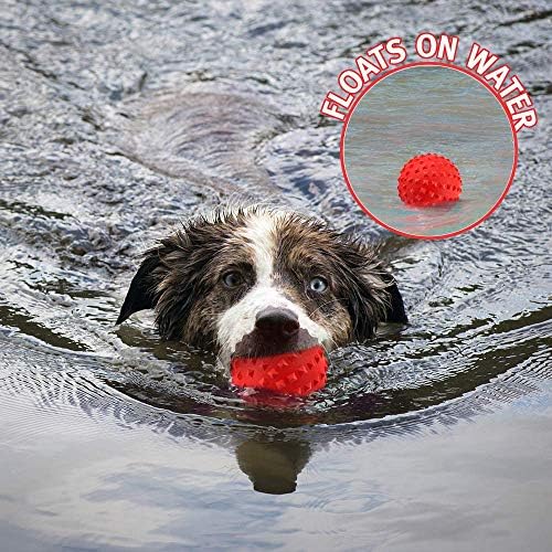 RHL Dog Squeaky Toys for Aggressive chewers Large Breed Balls Interactive Ball Toy Almost Indestructible Tough Durable Stick Medium Small Dogs Puppy Chew with Non-Toxic Natural Rubber