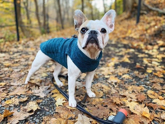 Gooby - Zip Up Fleece Vest, Fleece Jacket Sweater with Zipper Closure and Leash Ring, Turquoise Wash, Small