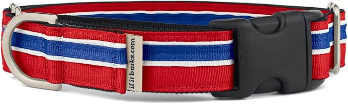 If It Barks 1" Martingale Collar with Quick Snap Release Buckle, Adjustable, USA Made, Medium, Patriotic