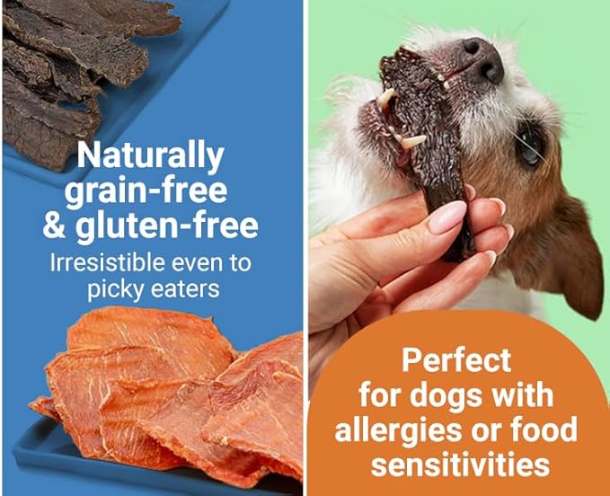 Just Chicken Jerky | 100% USA-Sourced, Single-Ingredient, Great for Sensitive Stomachs, Human-Grade USDA Chicken, Grain-Free, Allergy-Friendly, High Value for Training, Small Batch