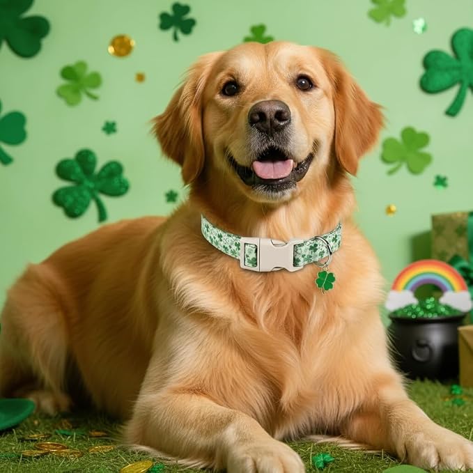 Green Dog Collar, Cute Spring Theme Dog Collar with Green Clover Print for Small Dogs, Small Puppy Collar for Girl Dogs & Boy Dogs, S