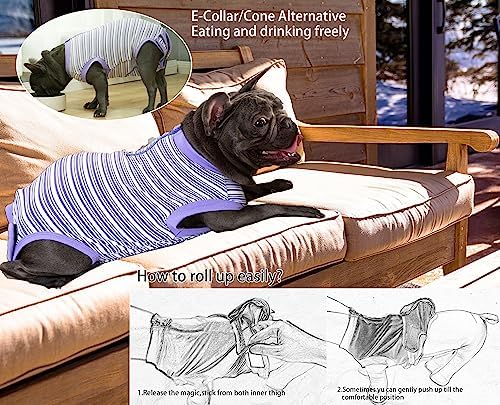 Recovery Suit for Female Dogs, Dog Cone Alternative After Spay