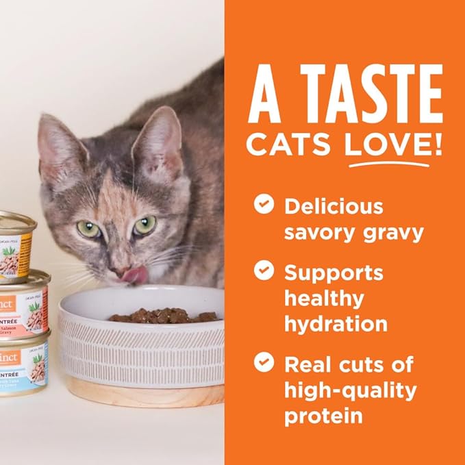 Instinct Flaked Entrée Wet Canned Cat Food - Lamb, 5.5 Ounce (Pack of 12)