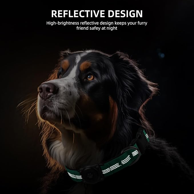 Upgrade Dog Collar with AirTag Holder, IP68 Waterproof, Teal, XS | Built-in Water Resistant AirTag holder, 1000D Nylon, Reflective Stitching for Night Visibility, Soft padding for Comfort