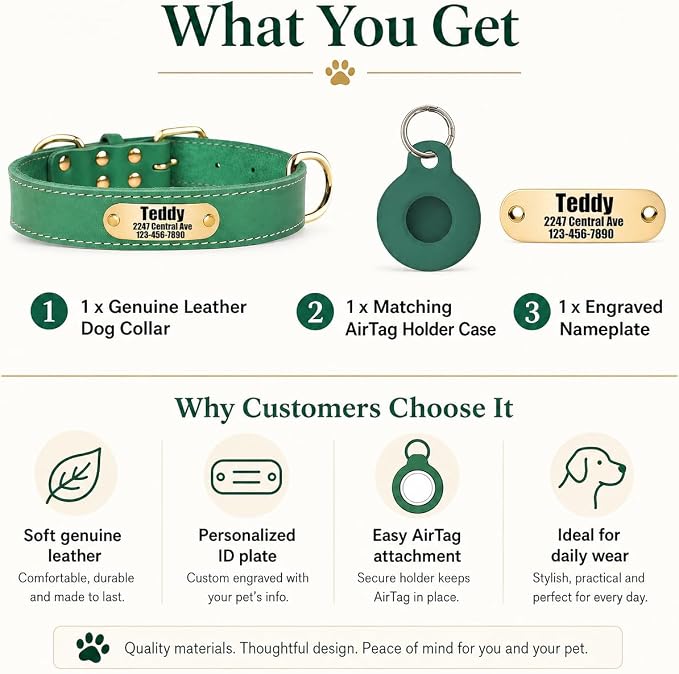 Personalized Genuine Leather Dog Collar with Name Phone Number-Bluegreen-XS