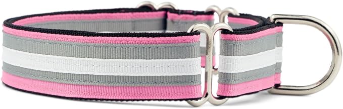 If It Barks 1" Martingale Collar for Dogs, Adjustable Nylon, USA Made, Large, Spunky