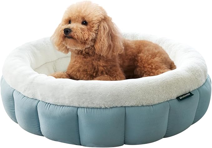 BALANCE Cat Beds for Indoor Cats, Washable Round Cat Bed, Cute Kitten Bed with Anti-Slip Bottom for Kitty and Puppy, 23 Inches, Dream Blue