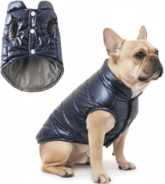 Winter Dog Coat for Small Dogs Chihuahua Warm Jacket for Medium Pet Boy Coats, Blue, XS