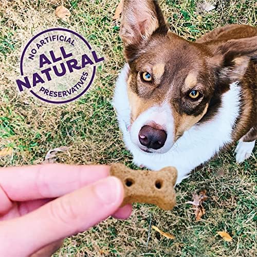 Old Mother Hubbard Wellness All the Fixins Dog Biscuits, Natural, Training Treats, Turkey & Sweet Potato Flavor, Mini Size (16 Ounce Bag) (Pack of 2)