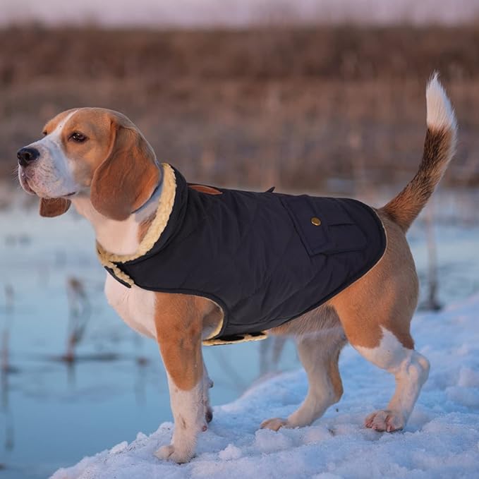 Queenmore Warm Puffer Dog Coat, Quilting Winter Jacket Ultra Thick Plush Lining with Storage Pockets (Dark Navy, Small)