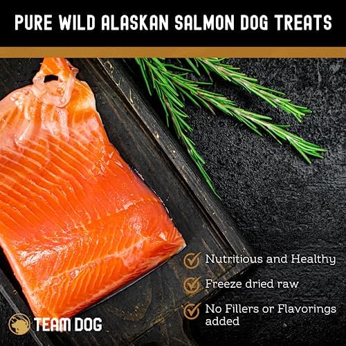Team Dog Freeze Dried Salmon Dog Treats for Training | Healthy Gluten Free, Grain Free Dog Treats | No Added Fillers, Flavoring or by-Products | for All Breeds & Sizes | 5 Oz Salmon Bites
