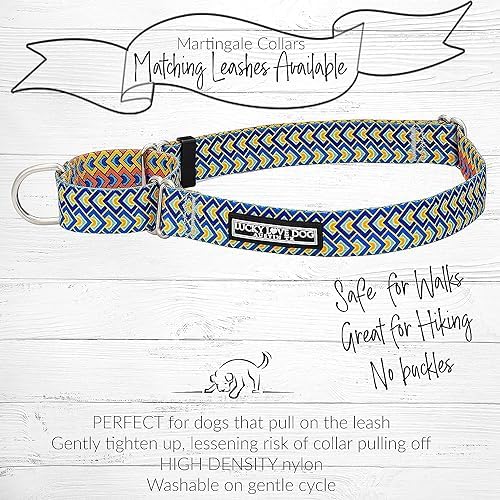 Lucky Love Dog Martingale Collar & Leash Set No Slip Cute – Murphy, Small