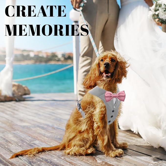 AVERYDAY Dog Tuxedo for Wedding Outfit, Dog Suit and Tie Costumes for Birthday, Halloween, Cosplay, Christmas Party, Pet Formal Wear with Bowtie, Tux for Small Dogs, Chihuahua, Bichon, Maltese, Cats