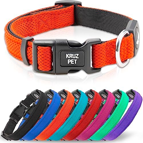 Dog Collar for Small Dogs (Width- 5/8", Neck - 8"-12") | Adjustable Padded Orange Dog Collar with Heavy Duty D-Ring | Soft Comfortable Fit for Small Dogs | Orange, X-Small