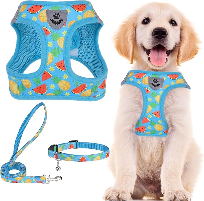 PUPTECK Adjustable Dog Harness Collar and Leash Set Step in No Pull Pet Harness for Small Medium Dogs Puppy and Cats Outdoor Walking Running, Soft Mesh Padded Reflective Vest Harnesses, Sky Blue M