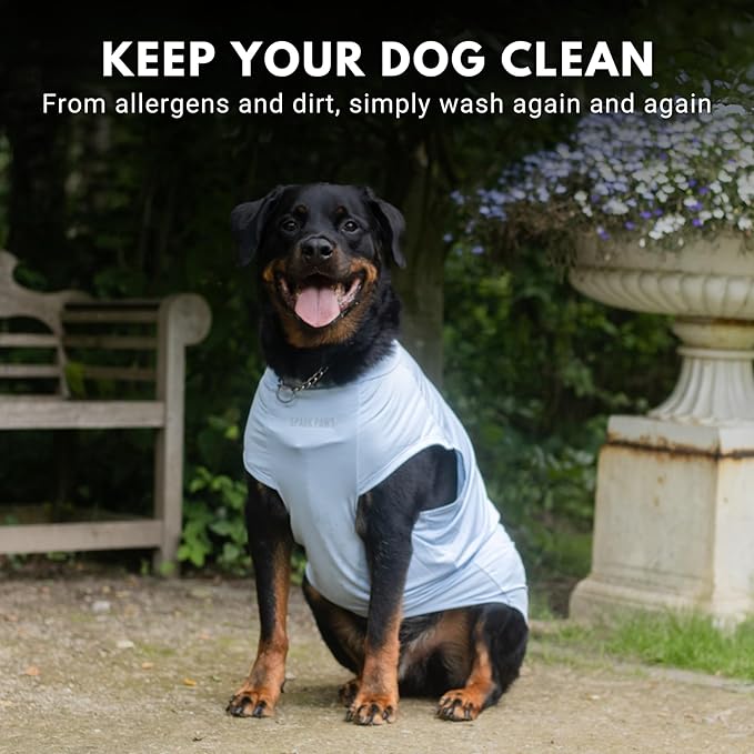 Spark Paws Sunblock Dog T-Shirt, SPF30 Protection, Lightweight Breathable Quick Dry for Dogs with Sensitive Skin - Blue & Grey (Set of 2) - XL