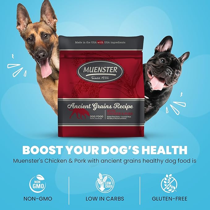 Muenster Ancient Grains Chicken & Pork Dry Dog Food, 4lb - Gluten-Free, High Protein, Digestive Support