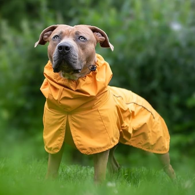 Spark Paws Dog Raincoat, Waterproof Windproof Rain Jacket, for Small Medium Large Extra Large Dogs, Reflective Breathable Full-Body Coverage Dry Suit - Mustard Yellow - S