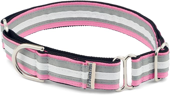 If It Barks 1" Martingale Collar for Dogs, Adjustable Nylon, USA Made, Large, Spunky