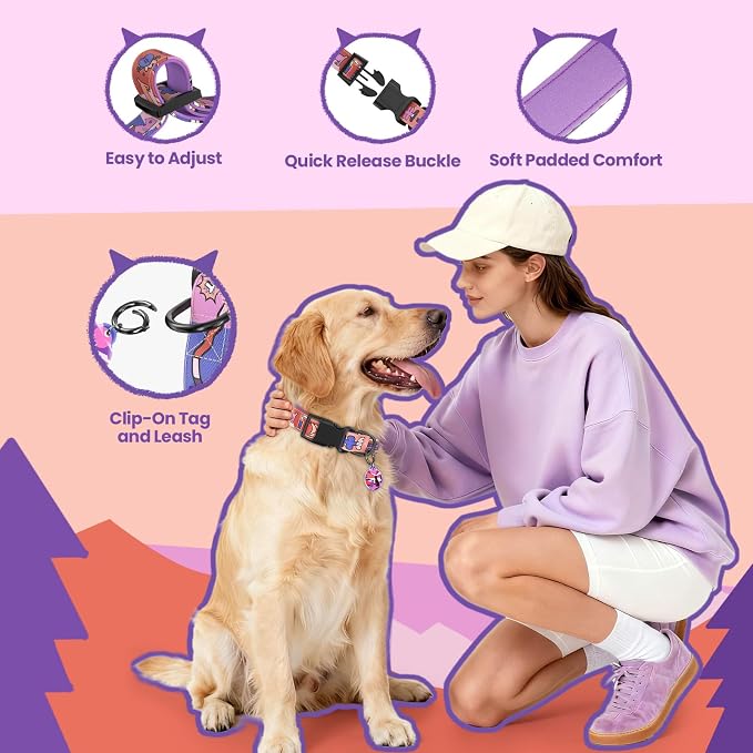 Dog Collar and Leash Set with QR ID Tag, 5 FT Leash, Purple, M