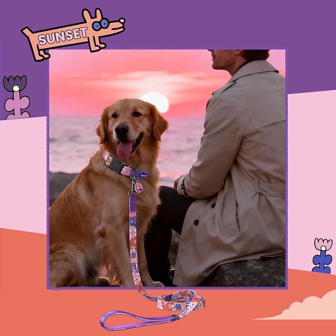 Dog Collar with QR Code ID Tag, Adjustable Pet Collar, Purple, S