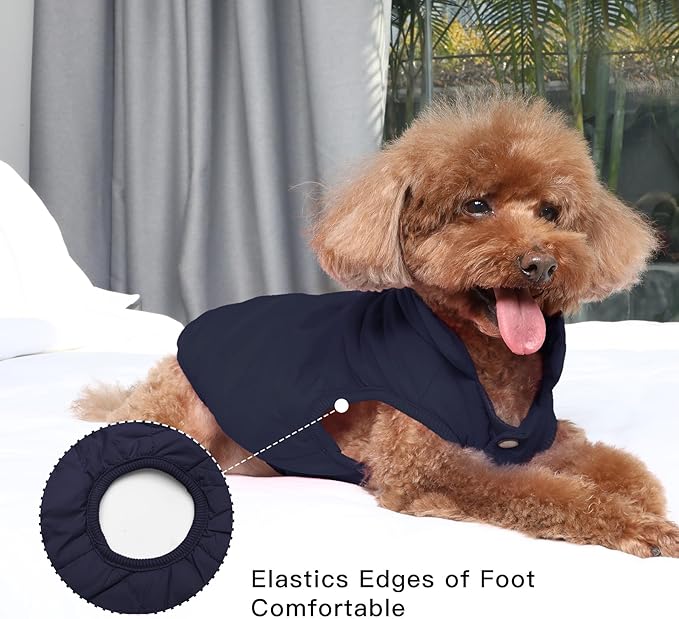 2 Layers Fleece Lined Warm Dog Jacket for Puppy Winter Cold Weather,Soft Windproof Small Dog Coat,Blue M