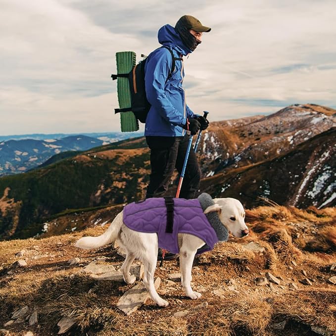 Dog Winter Coats, Fleece Lining Warm Coats for Dogs, Adjustable Windproof Pet Cold Weather Apparel, Quick Release Buckle Puppy Winter Jacket for Small Medium Large Dogs, Purple S