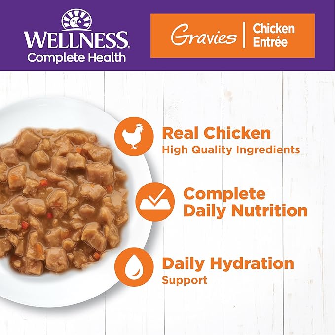 Wellness Complete Health Gravy Adult Wet Cat Food, Natural, Protein-Rich, Grain Free, 5.5 Ounce , 12 Pack, (Chicken Dinner)