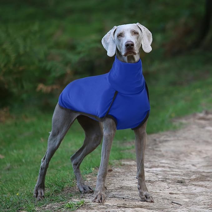 ROZKITCH Turtlenck Dog Pajamas for Medium Dogs, Pet Windproof Warm Cold Weather Jacket Vest Cozy Jumpsuit Apparel Outfit Clothes for Walking Hiking Travel Sleep Blue M