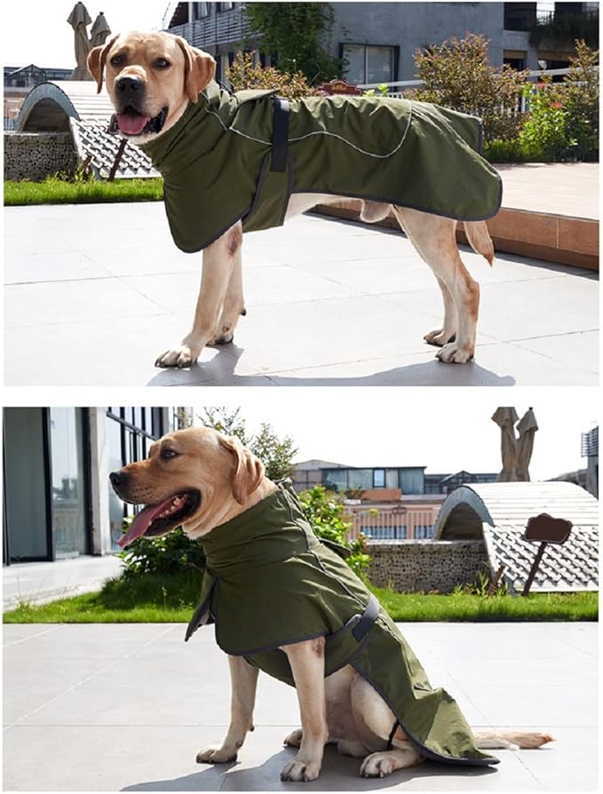 Barkworthies Dog Raincoat - Waterproof Winter Jacket with Velvet Inner, Reflective Strip, Green, 2XL