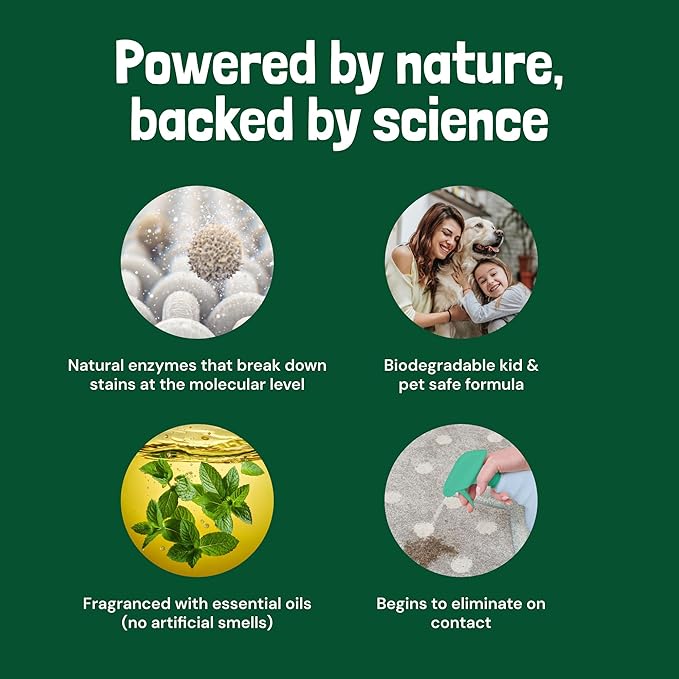Sunny & Honey Enzyme Cleaner & Stain Remover - 1 gal (128 fl oz), Spring Mint Scent - Pet & Kid Safe Pet Enzyme Cleaner - Heavy Duty Carpet Cleaner Solution